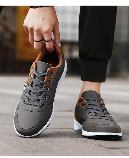 shoe