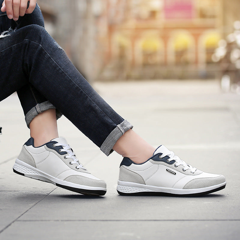 shoe